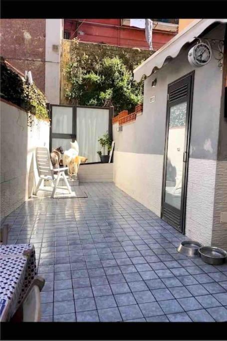 Napoli Centro Casa Con Due Camere E Cucina Bagian luar foto